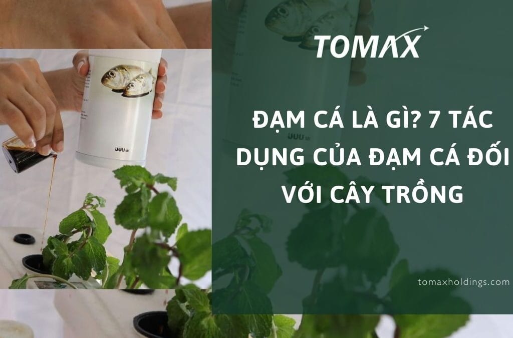 tác dụng của đạm cá đối với cây trồng