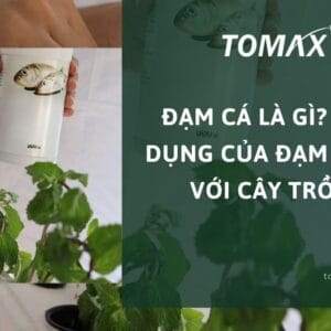 tác dụng của đạm cá đối với cây trồng