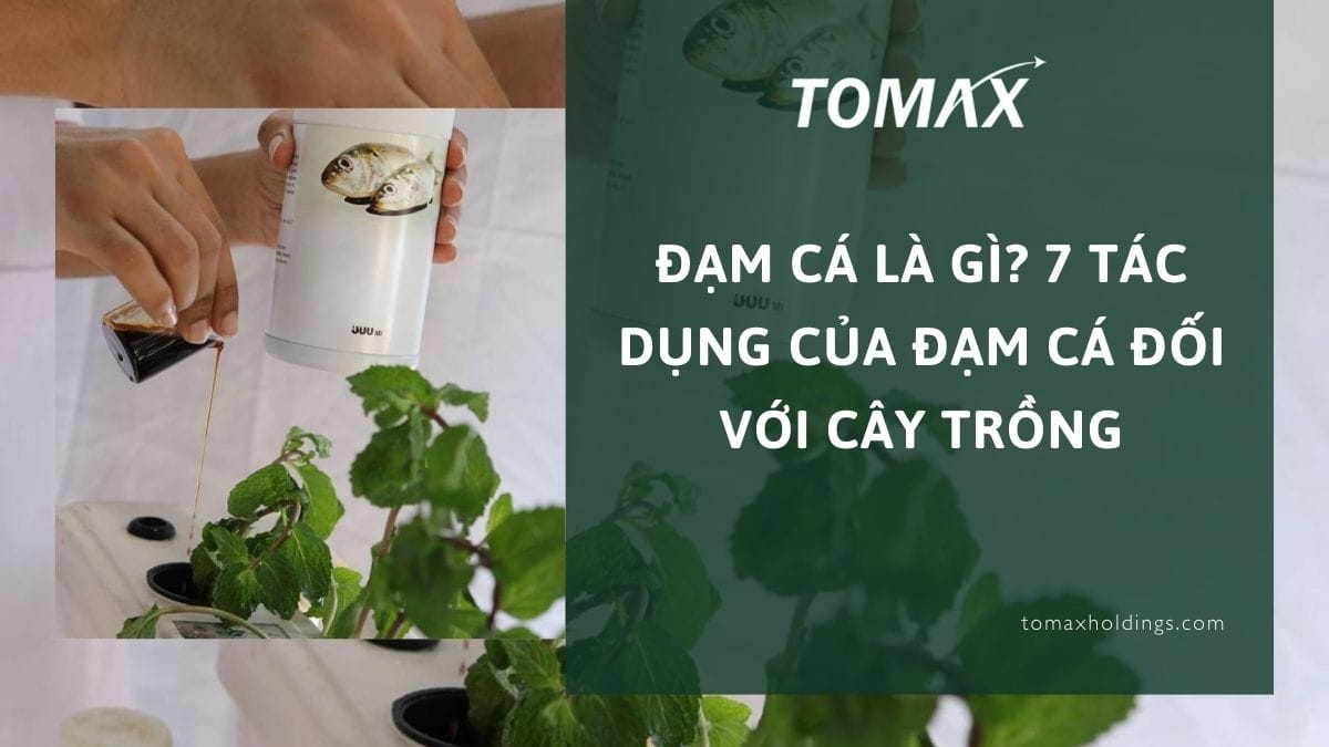tác dụng của đạm cá đối với cây trồng