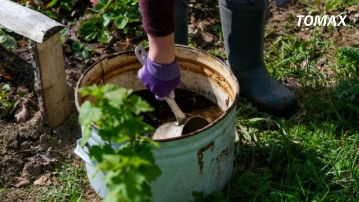 lợi ích của đạm cá với cây trồng