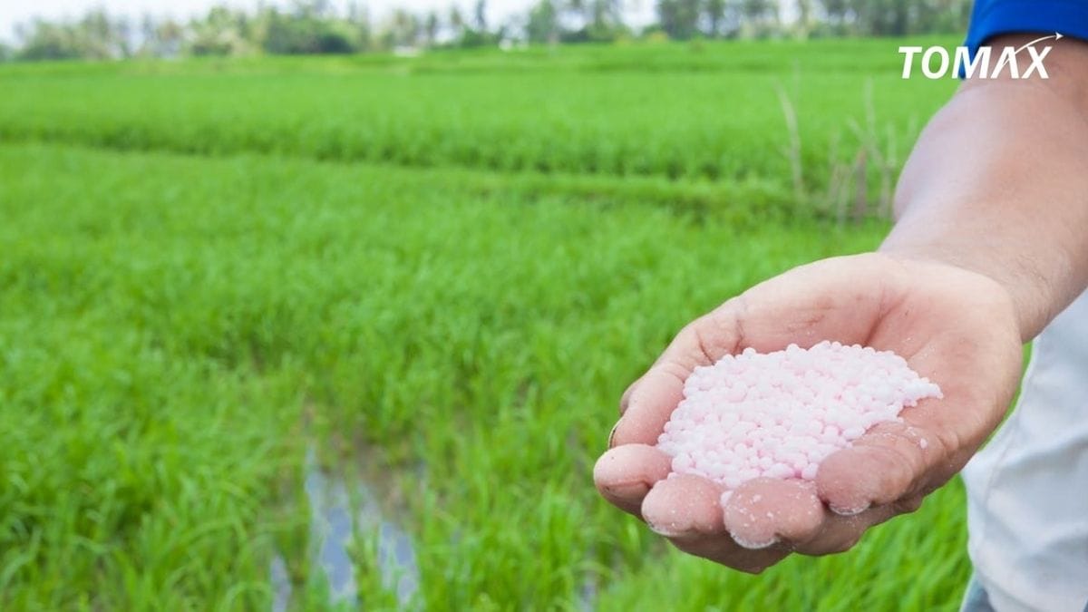 lợi ích của phân đạm đối với cây trồng