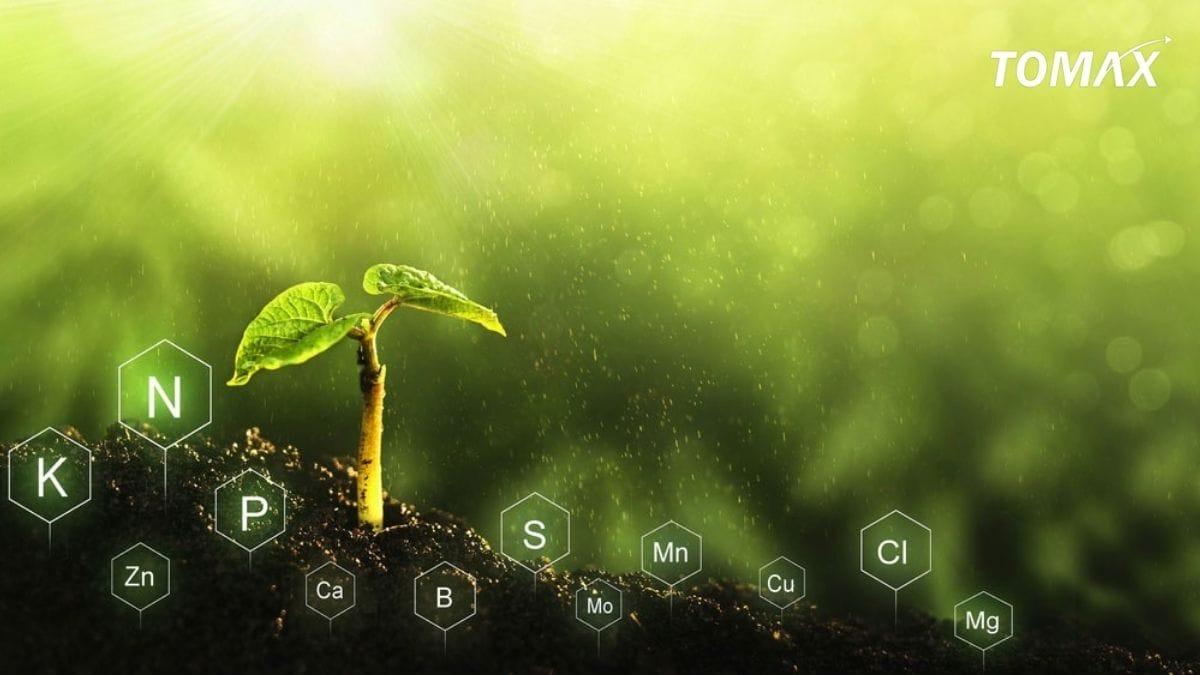 vì sao phải bón phân hợp lí cho cây trồng