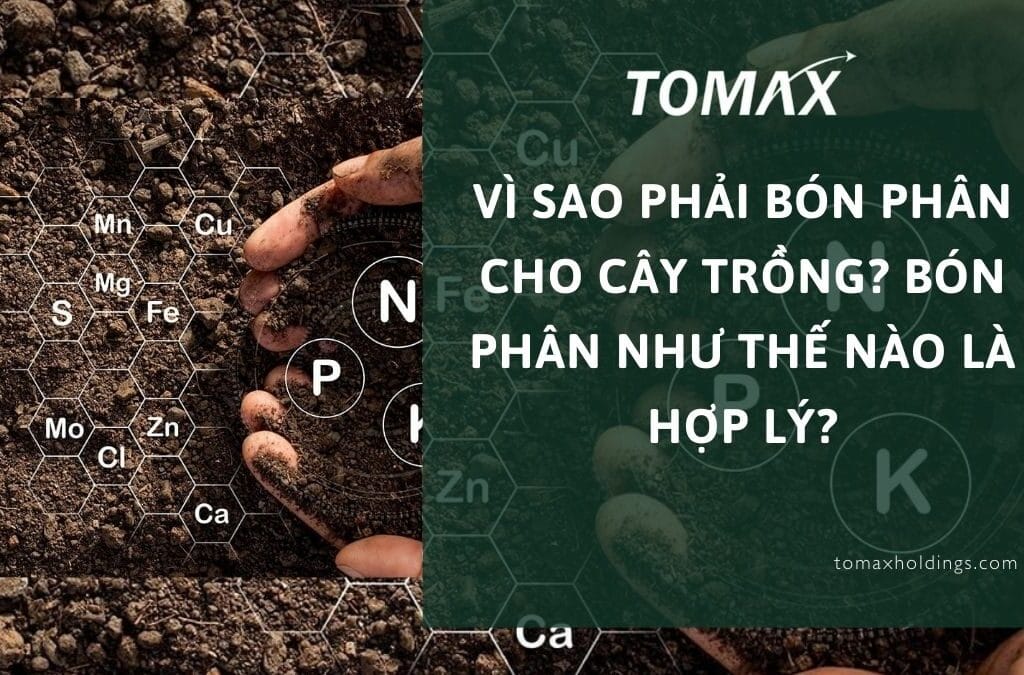 vì sao phải bón phân cho cây trồng