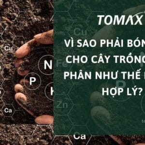 vì sao phải bón phân cho cây trồng