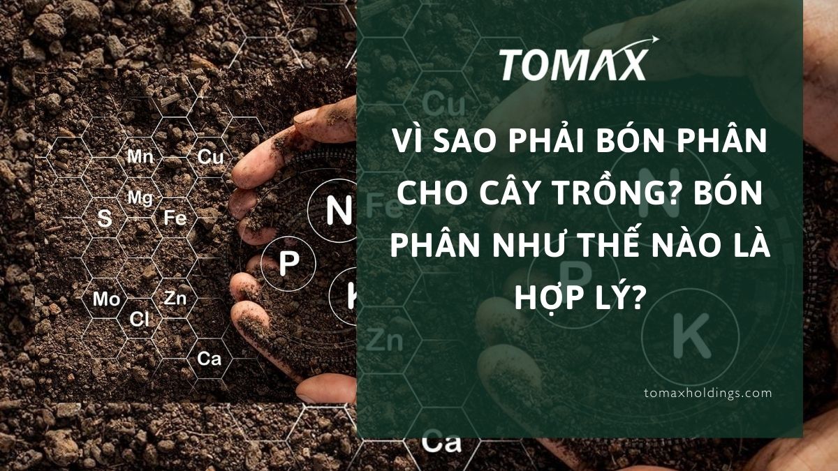 vì sao phải bón phân cho cây trồng