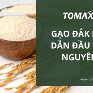 Gạo Đắk Lắk dẫn đầu Tây Nguyên