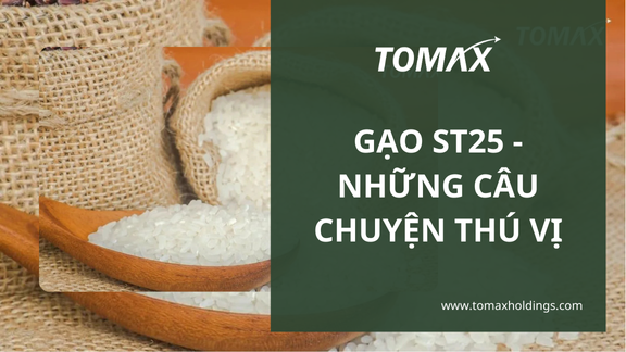 Những câu chuyện về gạo ST25
