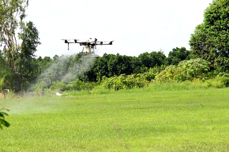 Nông nghiệp hữu cơ