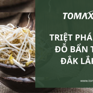 Triệt phá giá đỗ bẩn từ Đắk Lắk