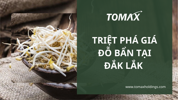 Triệt phá giá đỗ bẩn từ Đắk Lắk