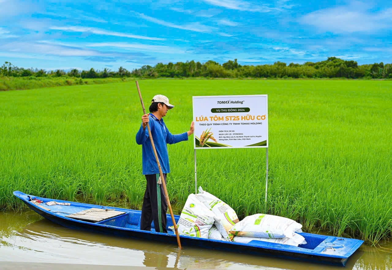 Gạo ST25 lúa tôm 