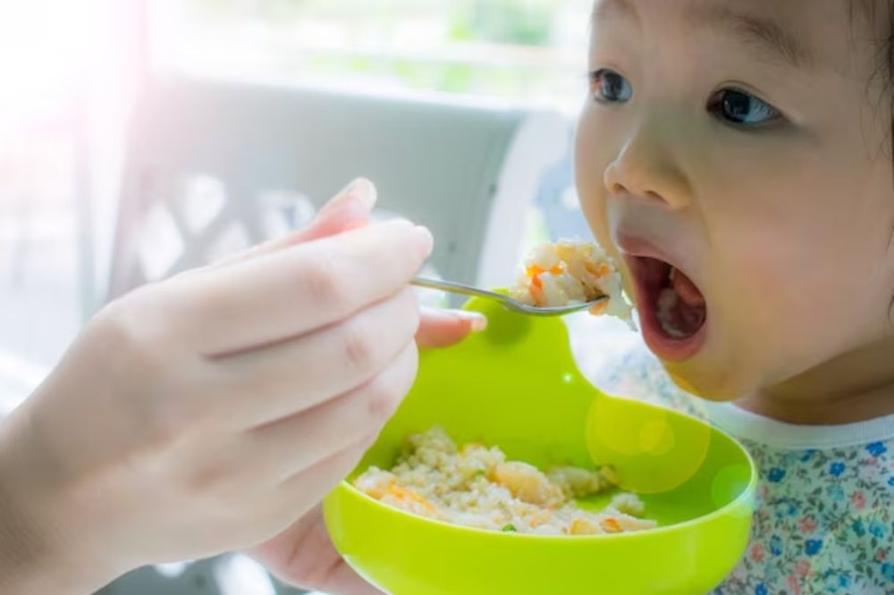 Bé từ 10 tháng tuổi trở đi đã bắt đầu ăn được cơm nát